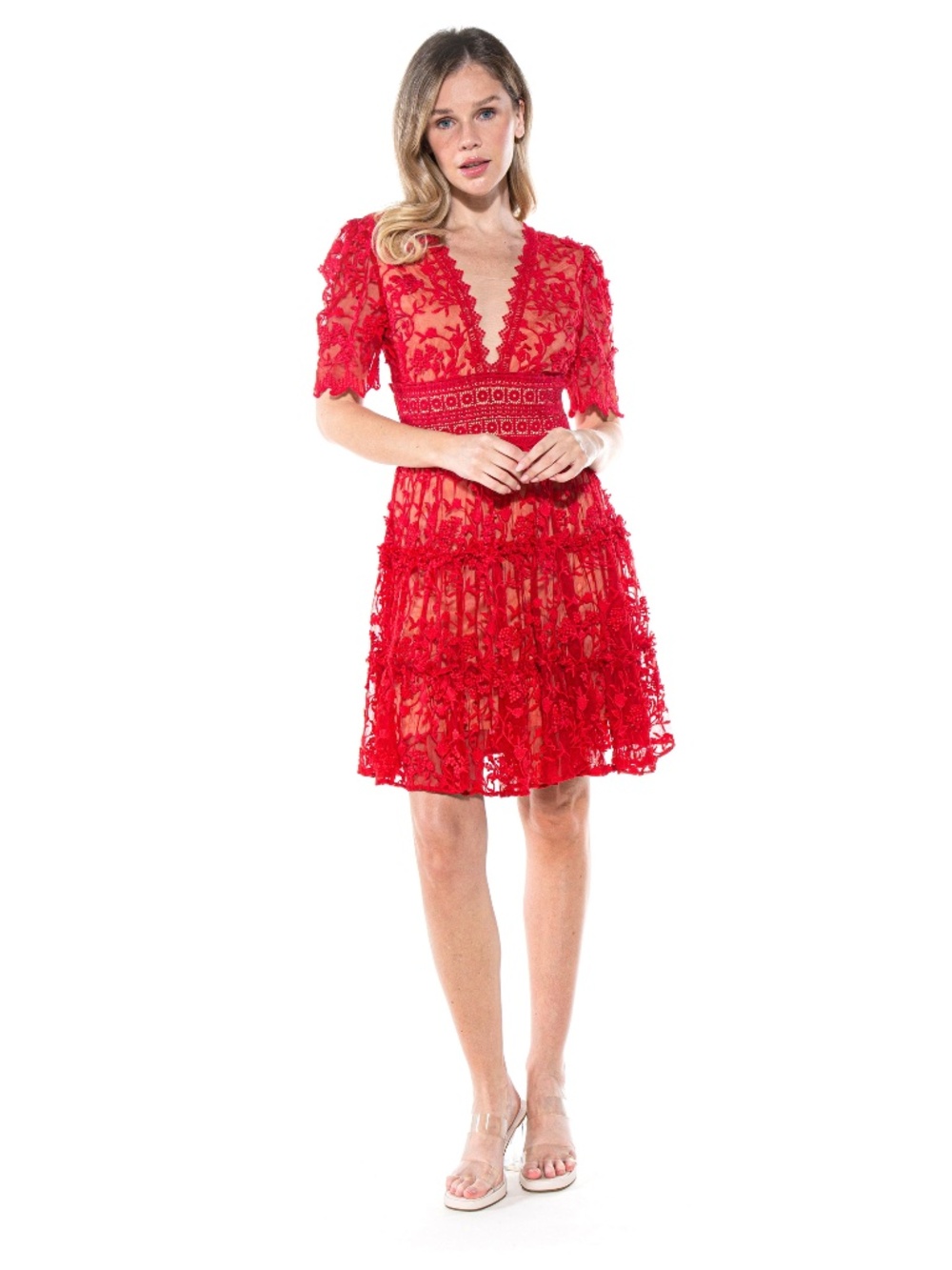 Flora Whisper Embroidered Mesh Mini Dress